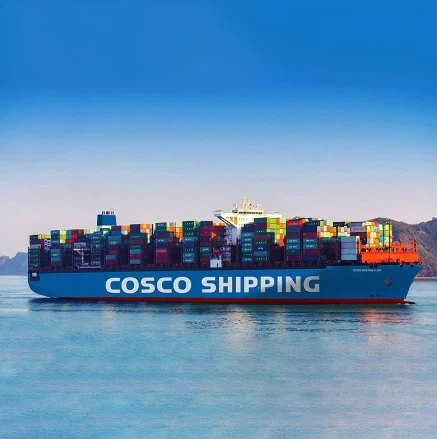 Ocean Freight Logistics